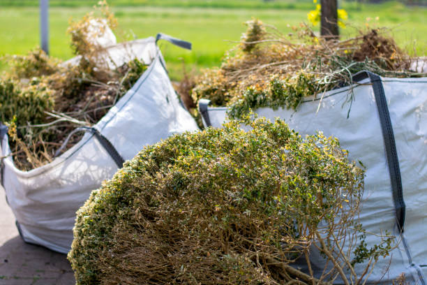 Best Appliance Removal Near Me  in Senath, MO